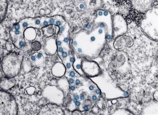 Logran un material que elimina el virus y podría utilizarse en mascarillas