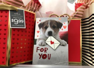 El amor por los perros transforma San Valentín