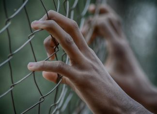 Totalitarismo vs libertad