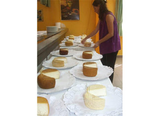 CDC alertan por brote de listeria en quesos estilo hispano en varios estados