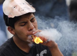 “Insaciable demanda” de marihuana crea más contaminación que minas de carbón