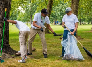 Añorando un norte verde