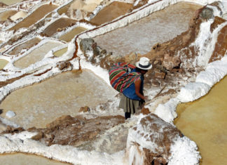 “Gente de Sal: Vida e Identidad”