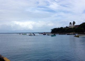 Denuncian abandono de las islas puertorriqueñas de Vieques y Culebra