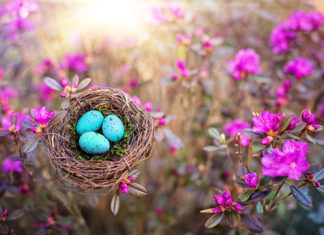 ¿Existe el secreto de la eterna juventud?