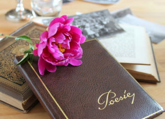 La poesía: el arte de la expresión creativa