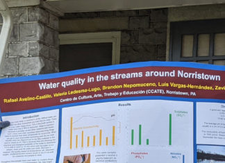 Niños trabajando a favor del ambiente