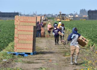 Gobernador firma ley sobre pago de horas extras a trabajadores agrícolas