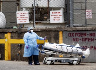 La covid-19 disparó la muerte de latinos por problemas cardíacos y cerebrales