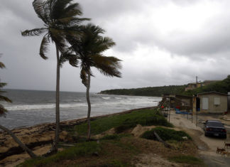 No irían a buscar refugio en caso de huracán