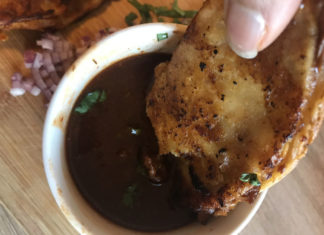 Let’s Taco Bout Birria