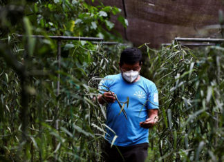 Biden amplia elegibilidad de menores centroamericanos para emigrar a EE. UU.