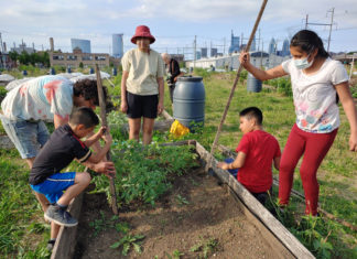 Cultivando en familia