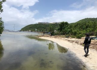 Exceso de sargazo amenaza turismo y laguna bioluminiscente