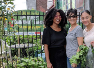 Hunting Park está afectada de manera desproporcionada por la ola de calor