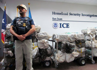 Multimillonarios decomisos por drogas