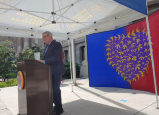 Resiliencia y contribuciones