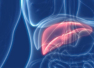 28 de julio 2021, Día Mundial Contra la Hepatitis