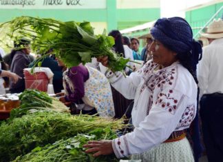 Indígenas denuncian plagio de empresa de EEUU a prendas de comunidad mexicana