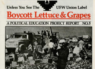 Los chicanos y la huelga de la lechuga (Parte II)