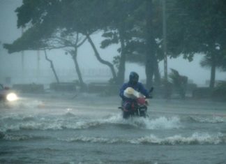 Día de la Tierra: preocupaciones y deberes