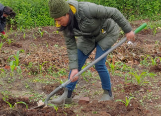 «Nuestro vecindario no está a la venta»: Miembros de la comunidad de Filadelfia se organizan para defender lo suyo