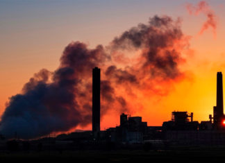 Cumbre del clima COP26: ¿Qué está en juego para el planeta Tierra?