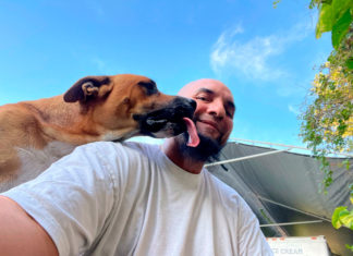 La mitad de las mascotas de Estados Unidos son de clase media baja o baja