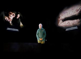 Jane Goodall lamenta que la crisis climática «robe el futuro» de los jóvenes