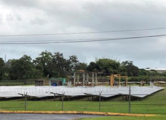 Agricultura vs. energía solar, un dilema en Puerto Rico