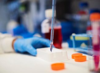 Crean una herramienta que predice el impacto de las mutaciones del SARS-CoV-2