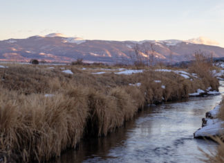 Crisis de ignorancia climática