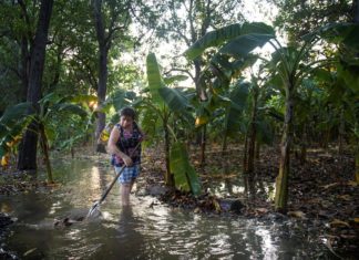 Humedales basados en la naturaleza como solución a la sequía en México