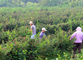 La inmigración es menor pero es clave para aumentar la población en edad de trabajar