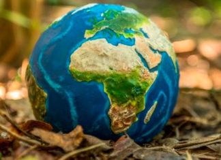 Día Mundial de la Educación Ambiental