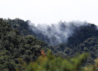 El año 2021 fue el sexto más caluroso desde que hay registros, según la NASA