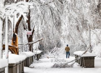 El noreste de EEUU sufrirá fuertes nevadas y frío ártico este fin de semana
