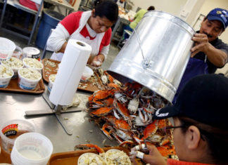 Expertos aplauden que EE. UU. abra sus puertas a más temporeros, pero reclaman garantías