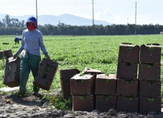 Gobierno sanciona a empresa por discriminar a trabajadores inmigrantes
