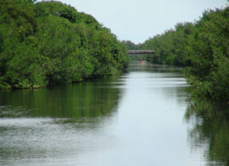 Retroceso en los planes para combatir la crisis climática