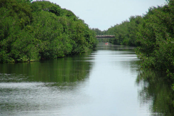 Retroceso-en-los-planes