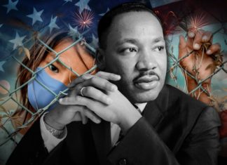 Pandemia de servidores