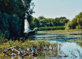 Día Mundial de los Humedales