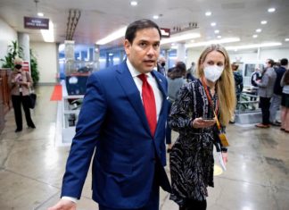 Rubio aventaja en 7 puntos a su posible rival demócrata al Senado de EEUU