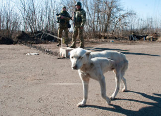 GBretaña enviará miles de misiles más a Ucrania