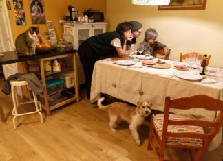 Hogares multigeneracionales van en aumento, especialmente entre latinos