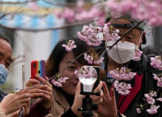 Las muertes por COVID suben un 40%, bajan los contagios