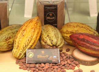 Salvadoreños se aferran al chocolate artesanal y sueñan con expandir su marca