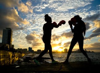 Boxeadores cubanos podrán incursionar en el profesionalismo
