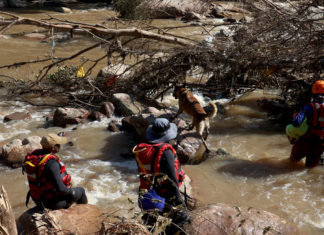 Inundaciones y lluvias en Sudáfrica dejan 448 muertos